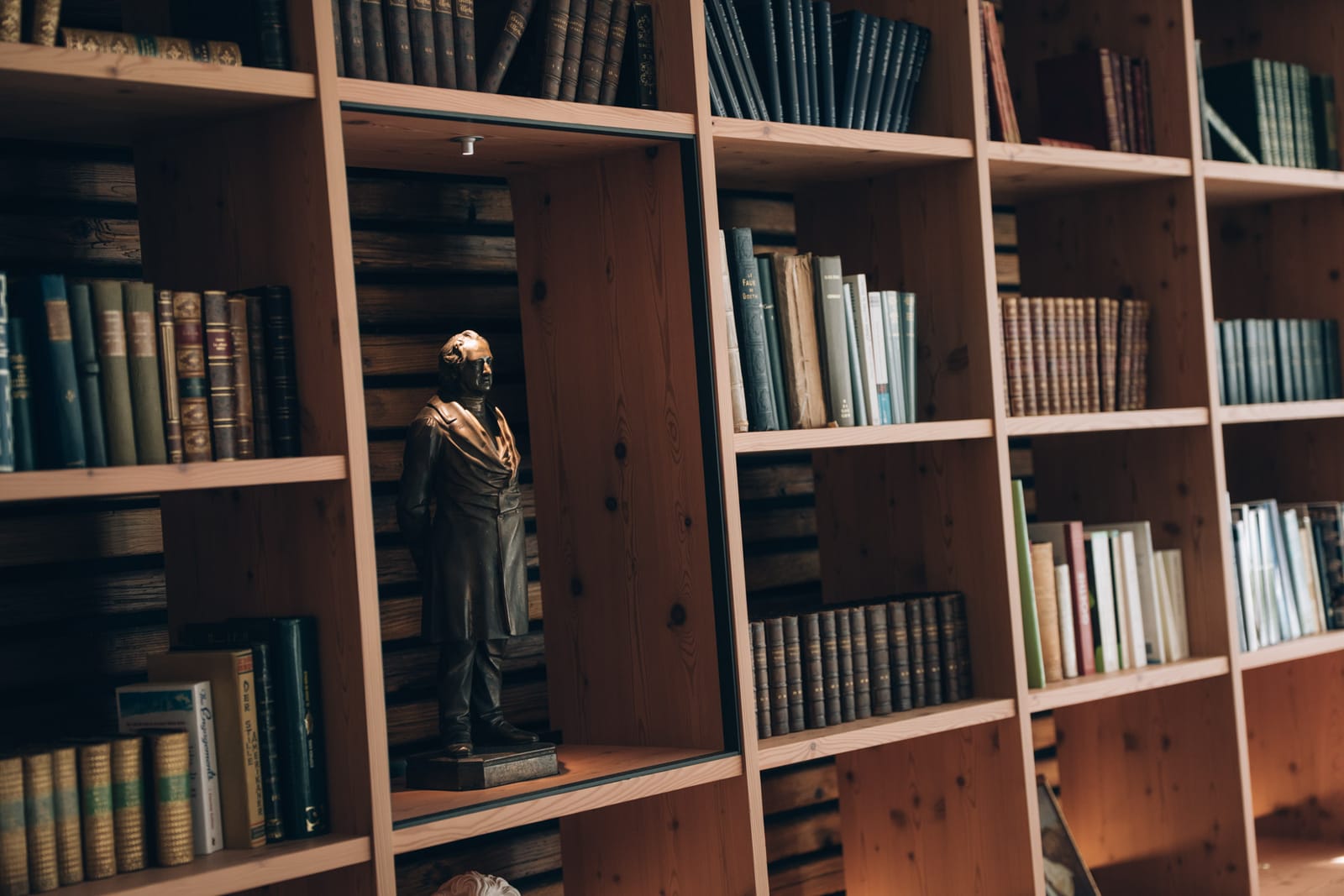 Le mur de livres de la clinique, en bois clair, avec un petit buste entre les volumes